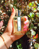 عطر کارون پوران هوم ۳۳ میل برندینی نوستالژی و لوکس معروف به عطر شاه
