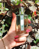 عطر کارون پوران هوم ۳۳ میل برندینی نوستالژی و لوکس معروف به عطر شاه