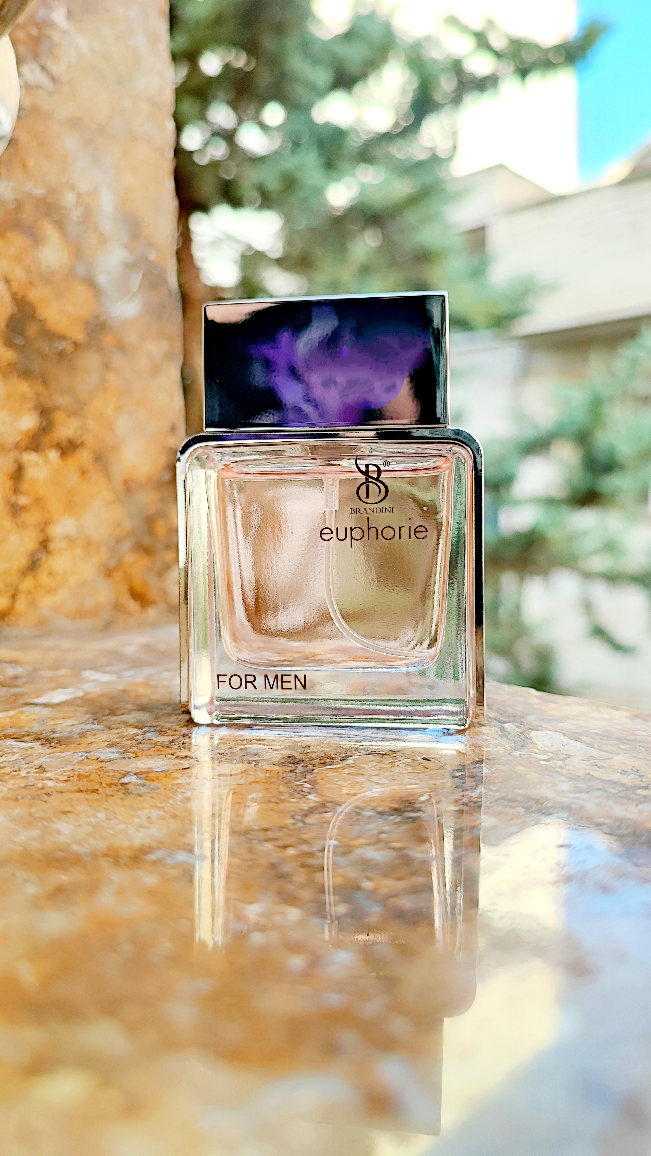 عطر ایفوریا مردانه حجم 33میل طبع معتدل رایحه چوبی معطر