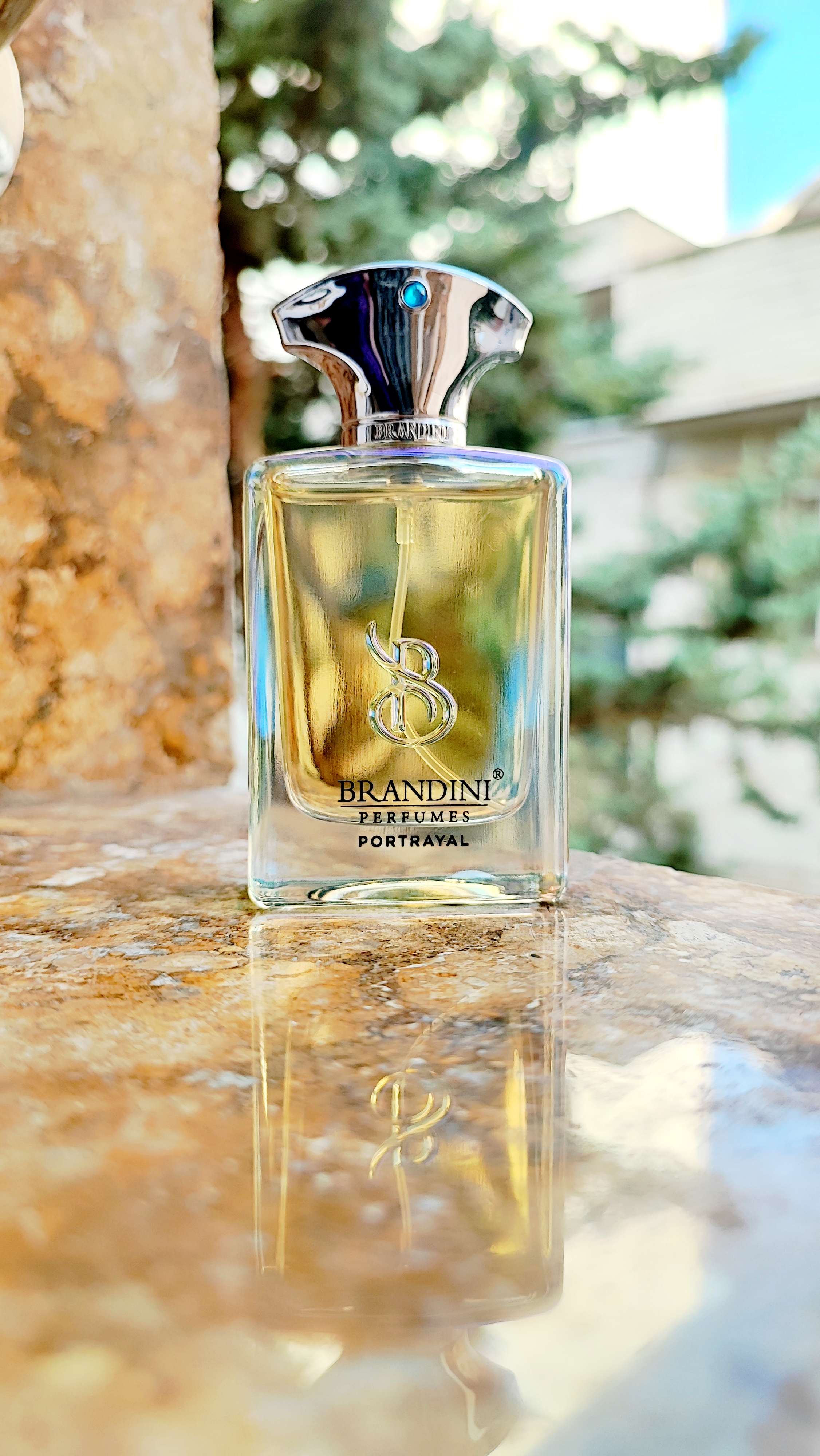 عطر مردانه امواج پرتریال حجم 33میل برندینی