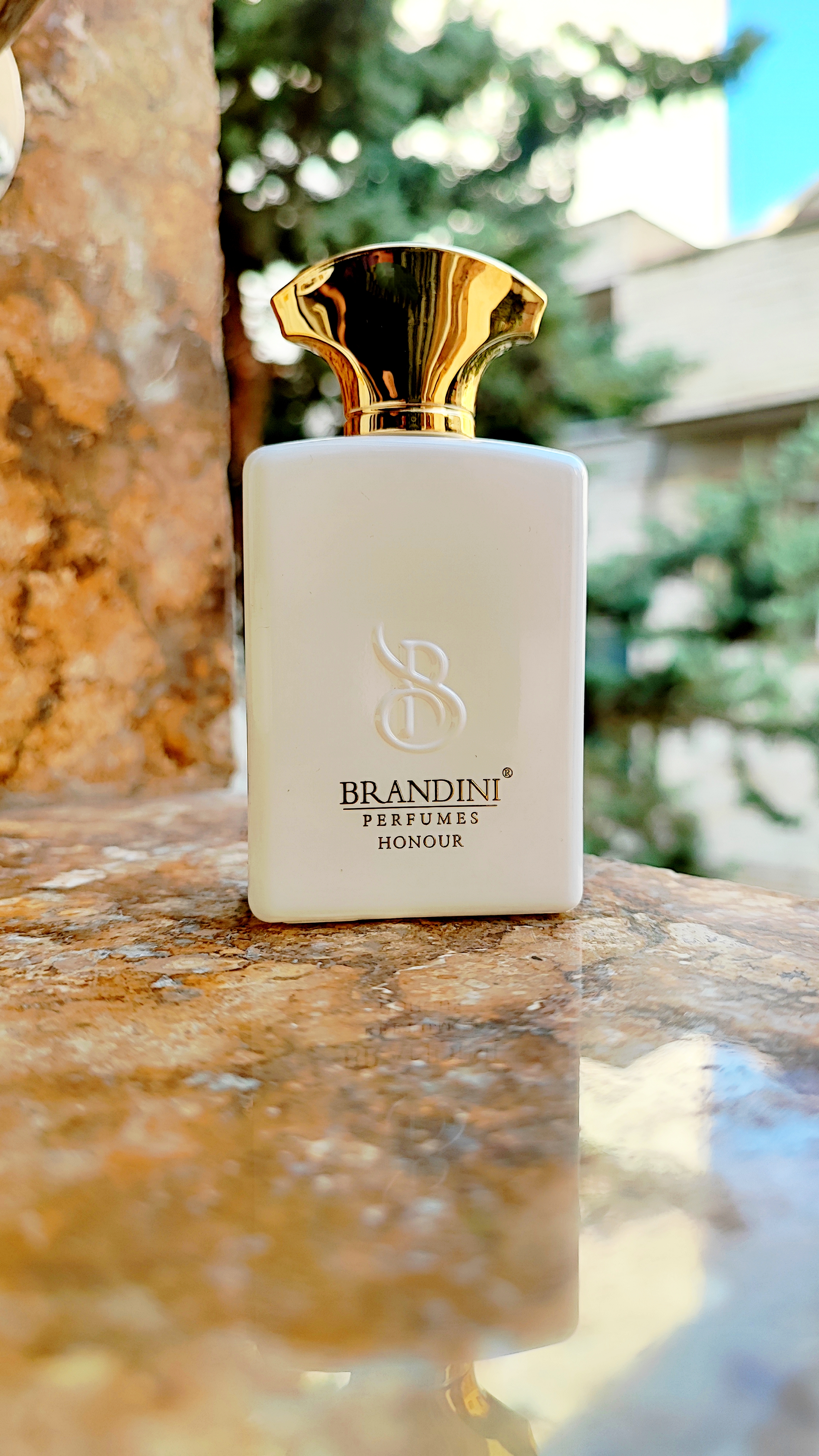 عطر مردانه امواج هانر سفید حجم 33میل برندینی طبع معتدل رایحه چوبی ادویه ای